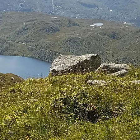 Spacious, Warm Mountain - Kvamskogen