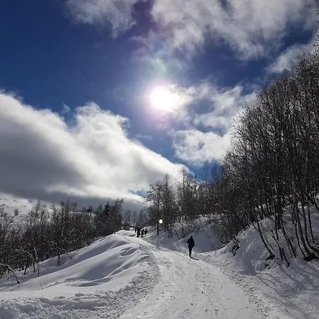 Spacious, Warm Mountain - Kvamskogen *