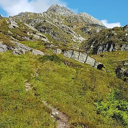 Spacious, Warm Mountain - Kvamskogen Semesterbostad